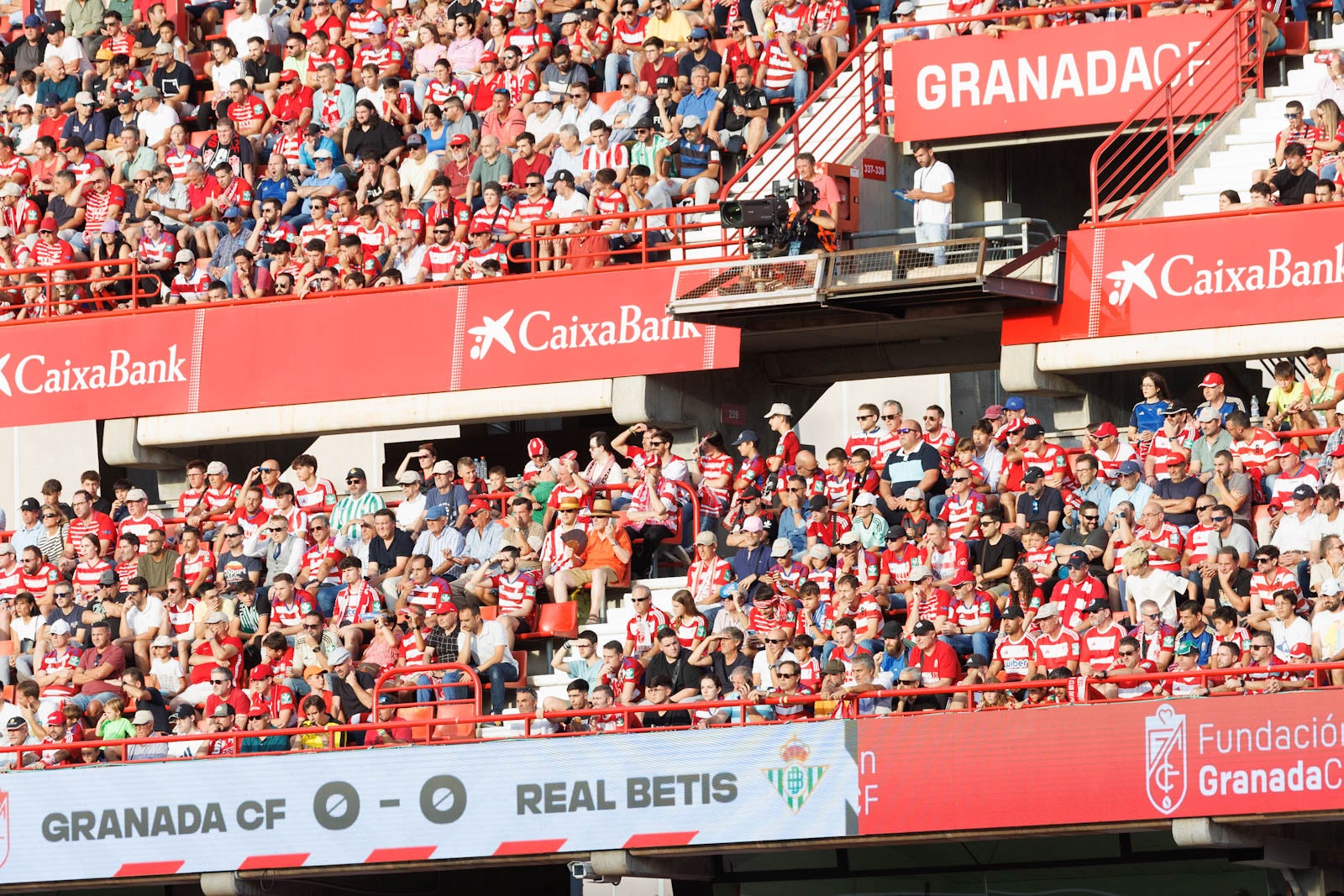 Búscate en la grada de Los Cármenes durante el Granada-Betis