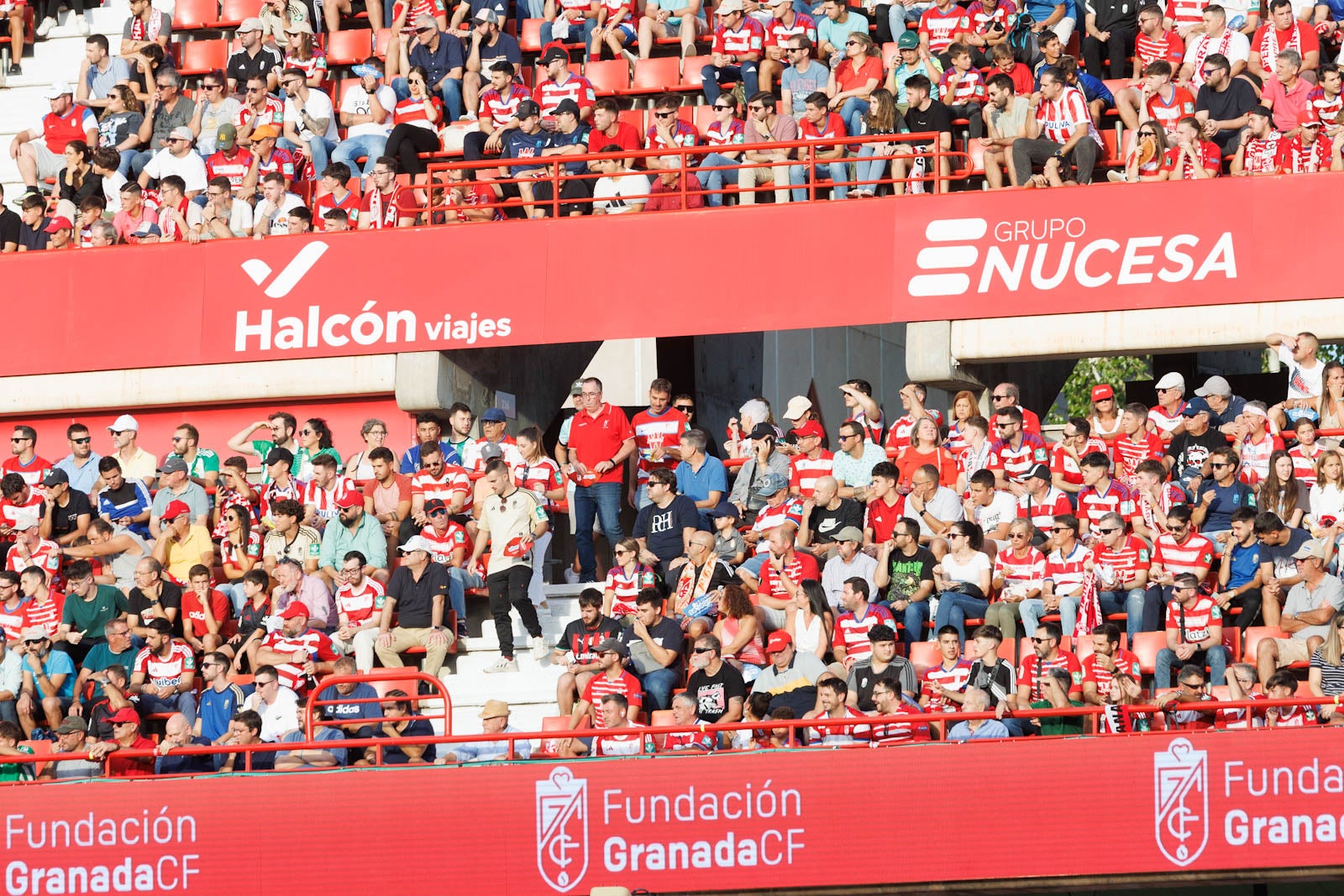 Búscate en la grada de Los Cármenes durante el Granada-Betis