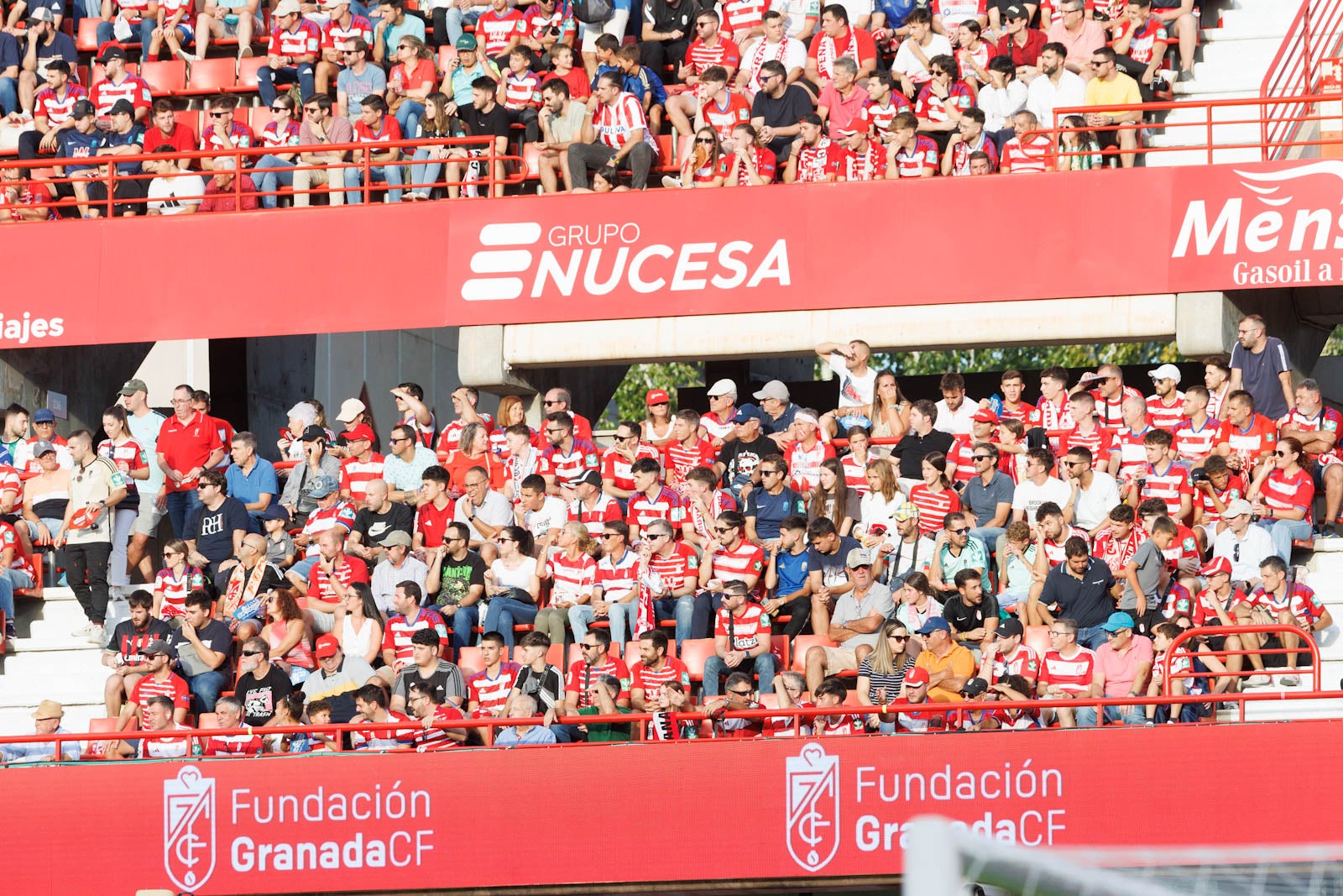 Búscate en la grada de Los Cármenes durante el Granada-Betis