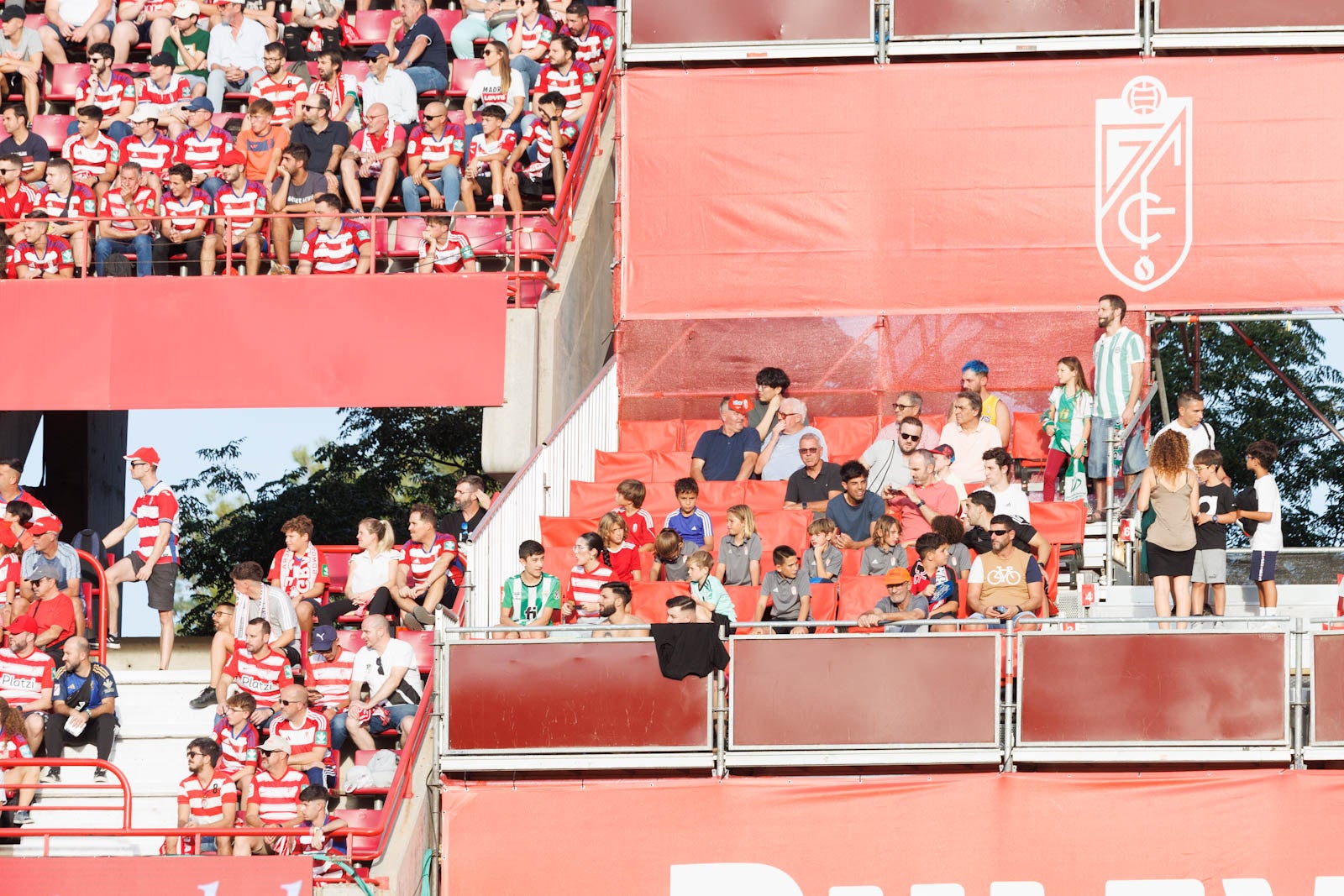 Búscate en la grada de Los Cármenes durante el Granada-Betis