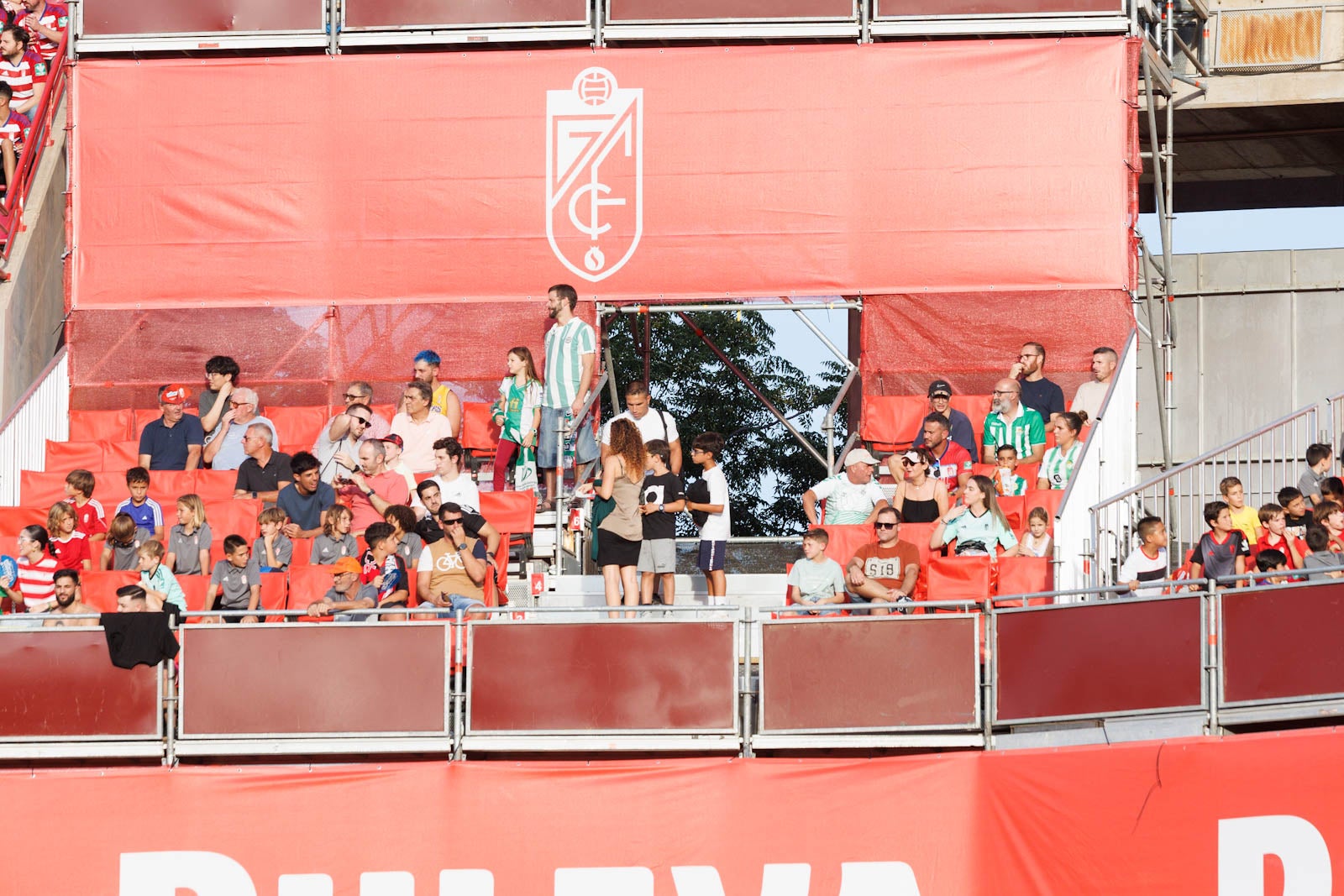 Búscate en la grada de Los Cármenes durante el Granada-Betis