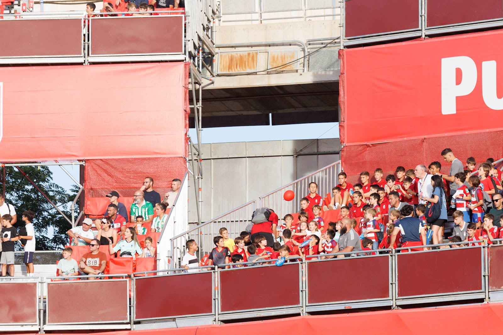 Búscate en la grada de Los Cármenes durante el Granada-Betis