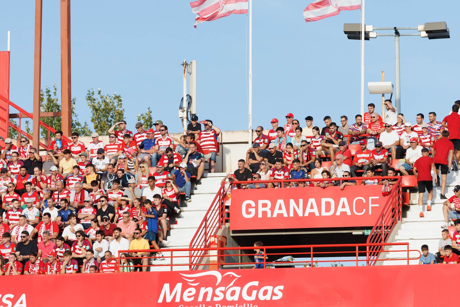 Búscate en la grada de Los Cármenes durante el Granada-Betis