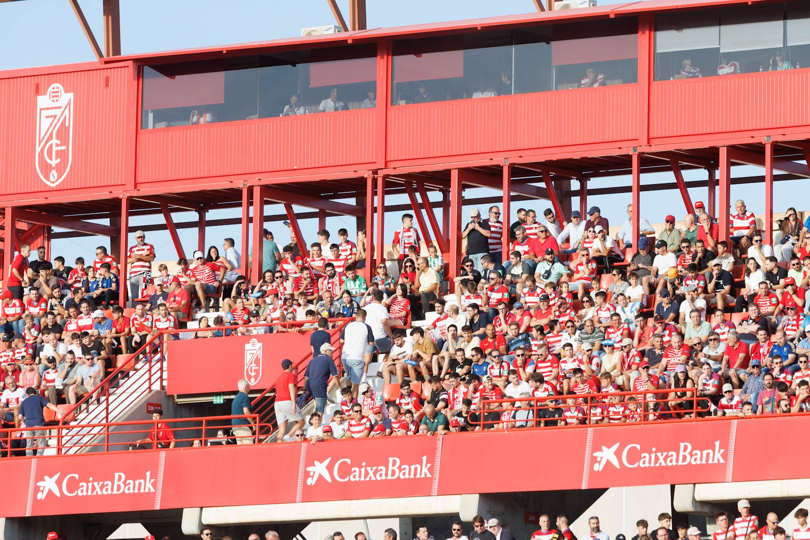 Búscate en la grada de Los Cármenes durante el Granada-Betis