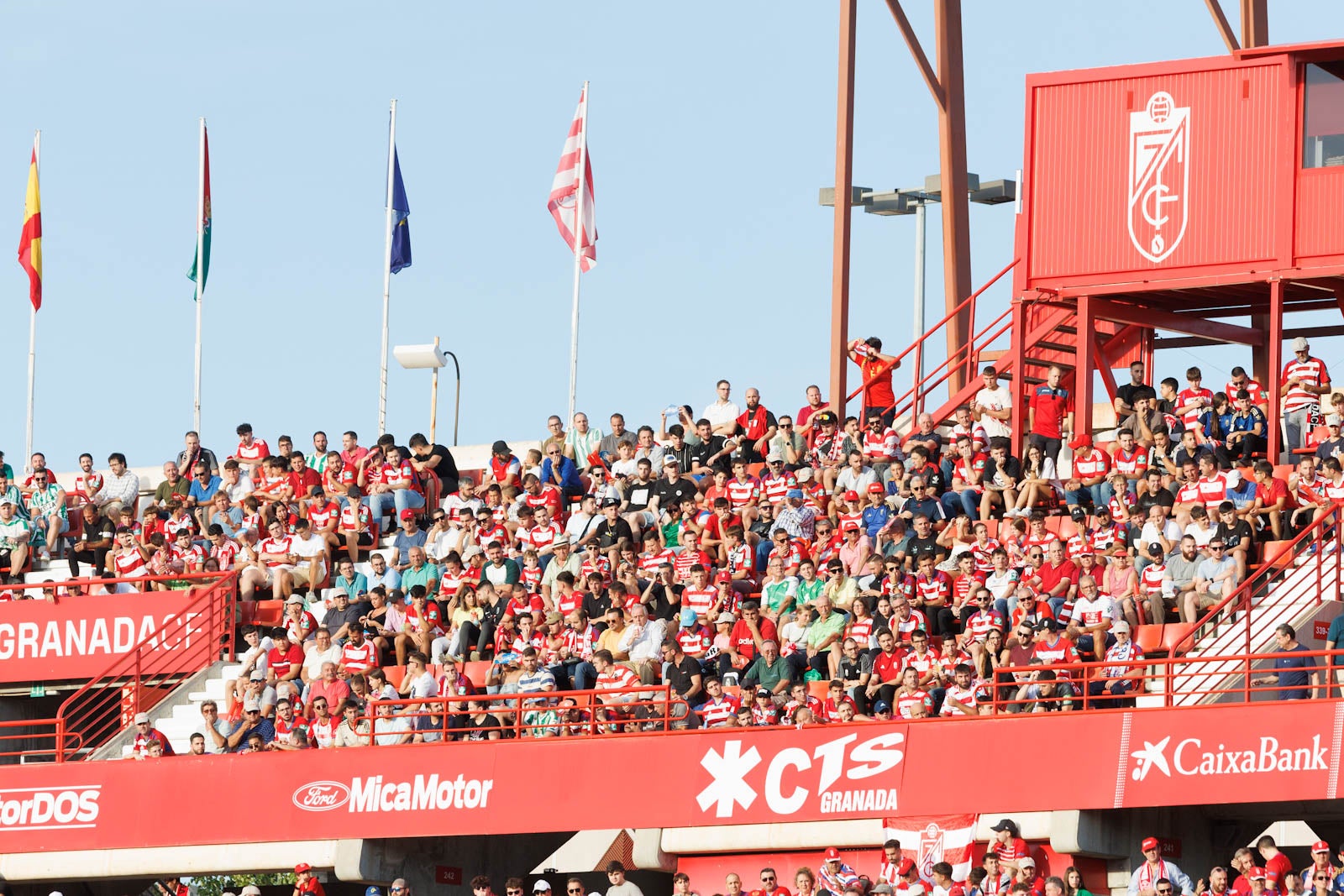 Búscate en la grada de Los Cármenes durante el Granada-Betis