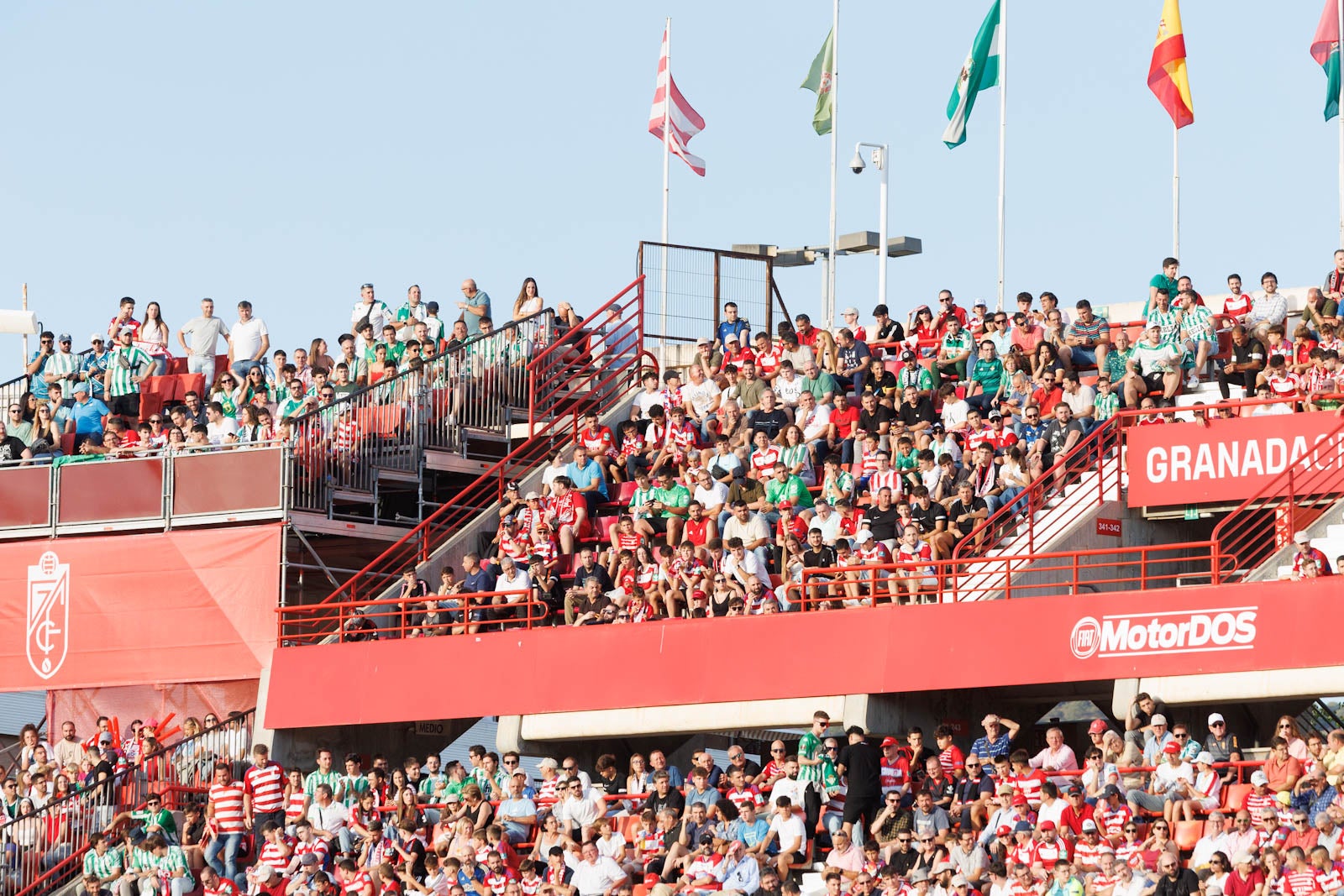 Búscate en la grada de Los Cármenes durante el Granada-Betis