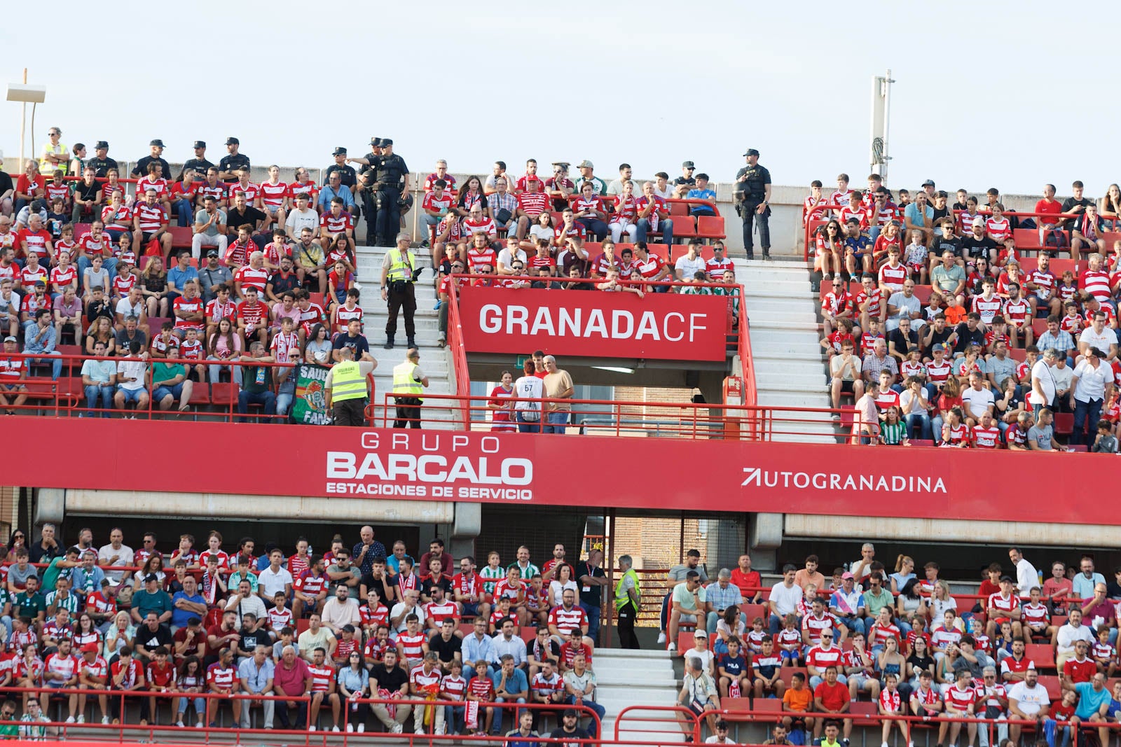 Búscate en la grada de Los Cármenes durante el Granada-Betis