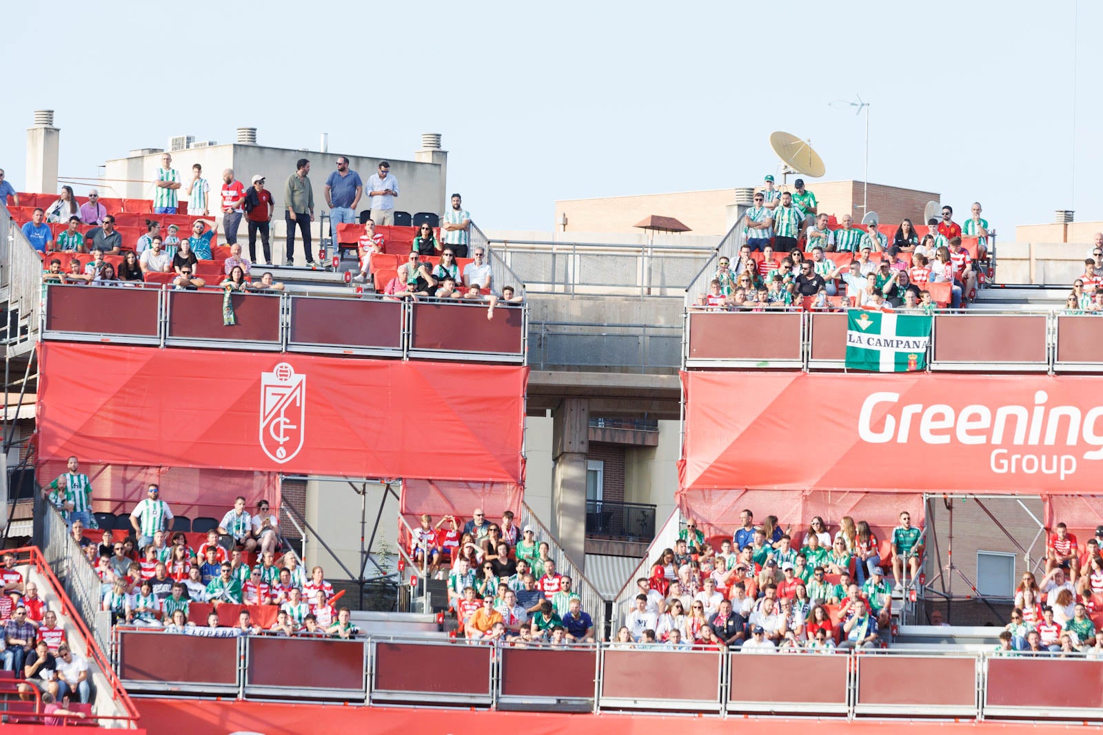Búscate en la grada de Los Cármenes durante el Granada-Betis