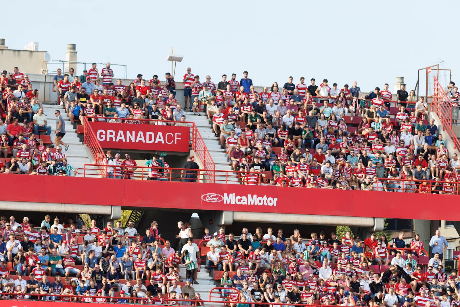 Búscate en la grada de Los Cármenes durante el Granada-Betis