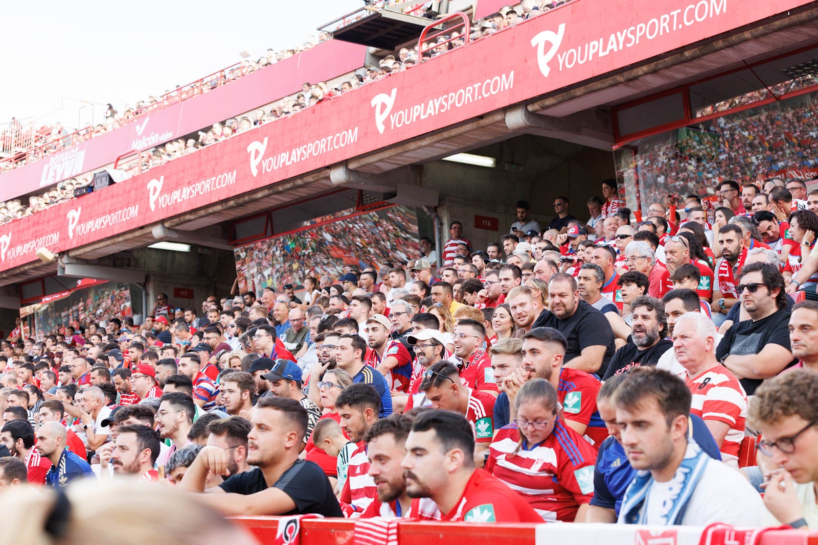 Búscate en la grada de Los Cármenes durante el Granada-Betis