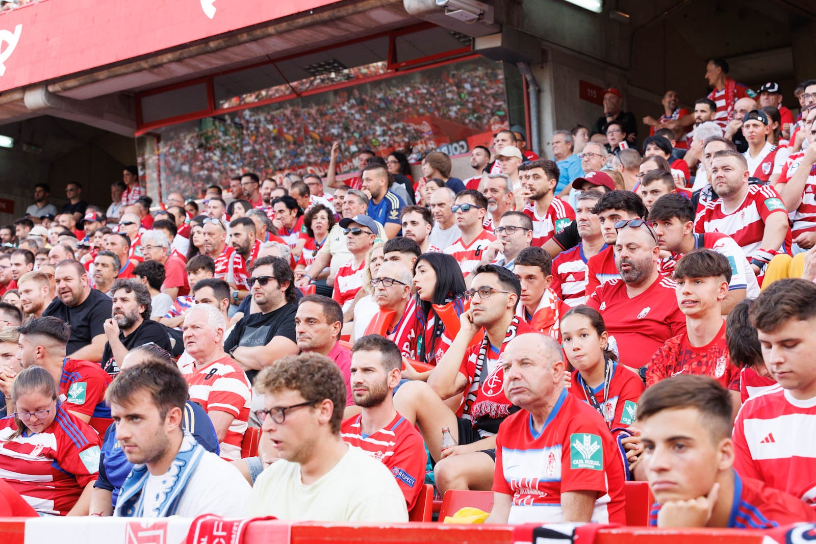 Búscate en la grada de Los Cármenes durante el Granada-Betis