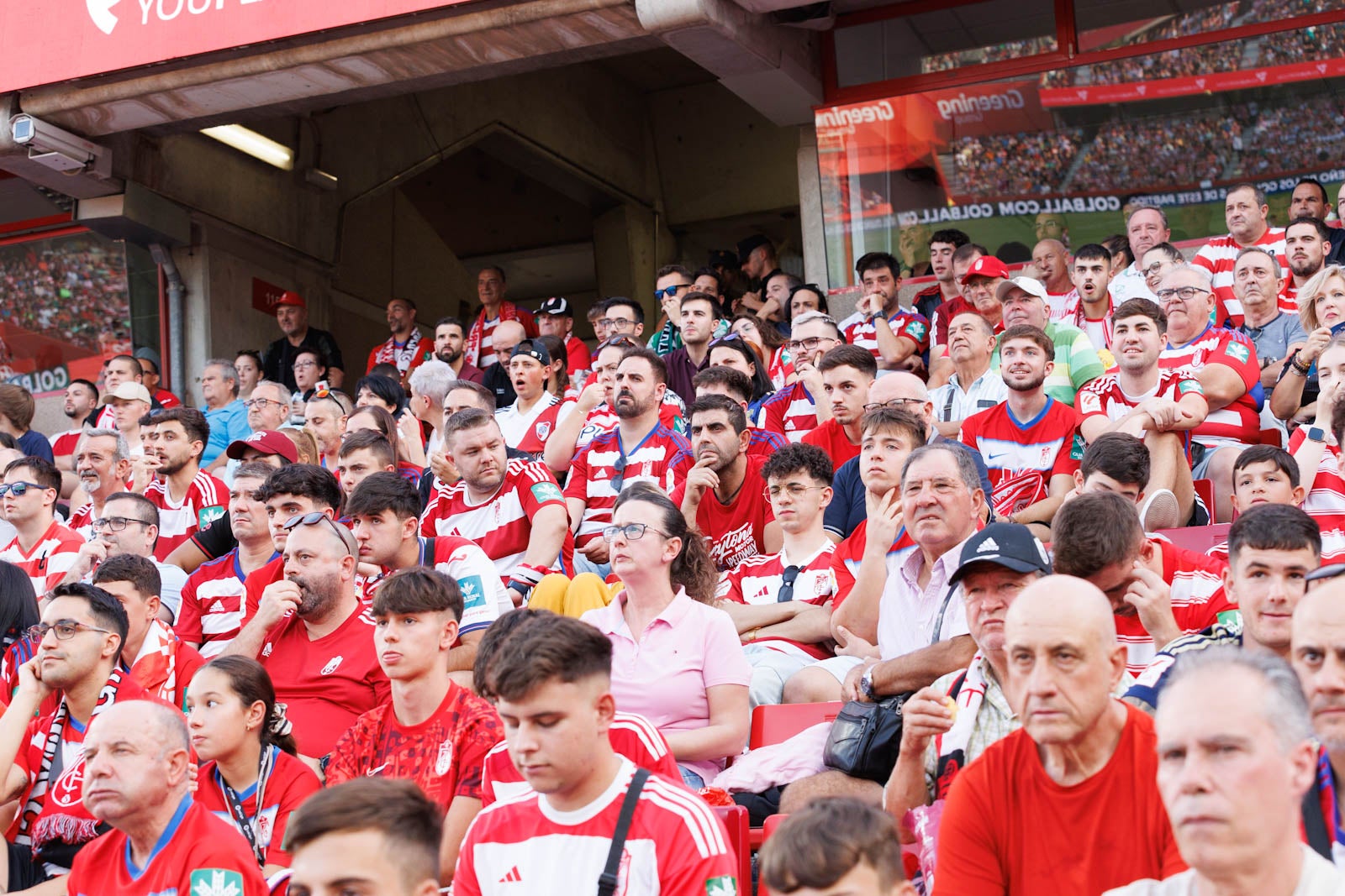 Búscate en la grada de Los Cármenes durante el Granada-Betis