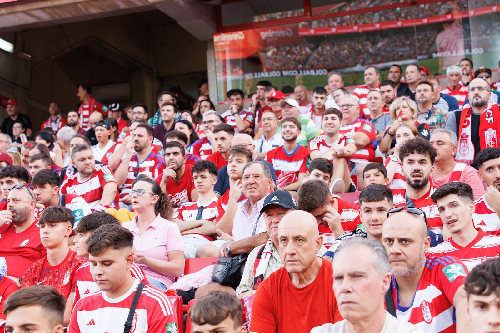Búscate en la grada de Los Cármenes durante el Granada-Betis