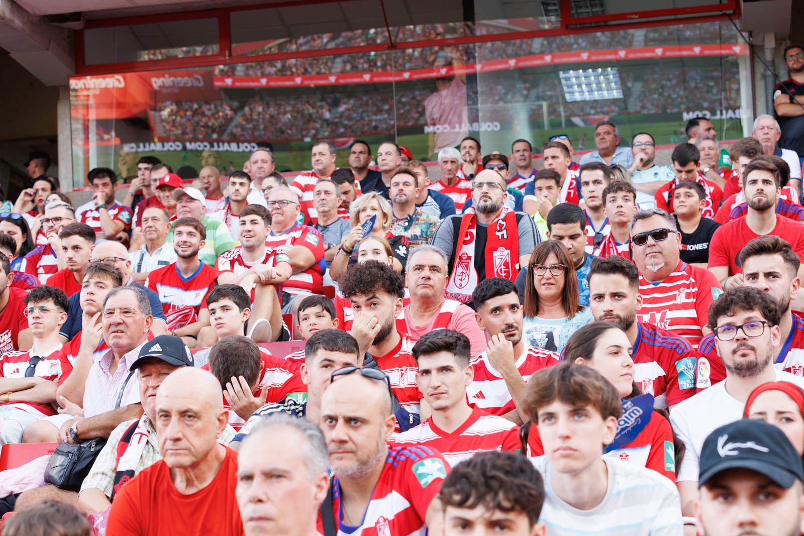 Búscate en la grada de Los Cármenes durante el Granada-Betis