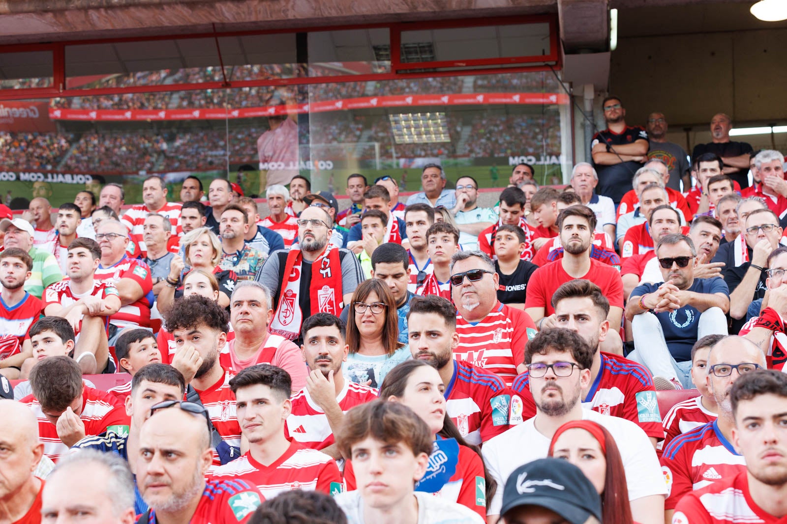 Búscate en la grada de Los Cármenes durante el Granada-Betis