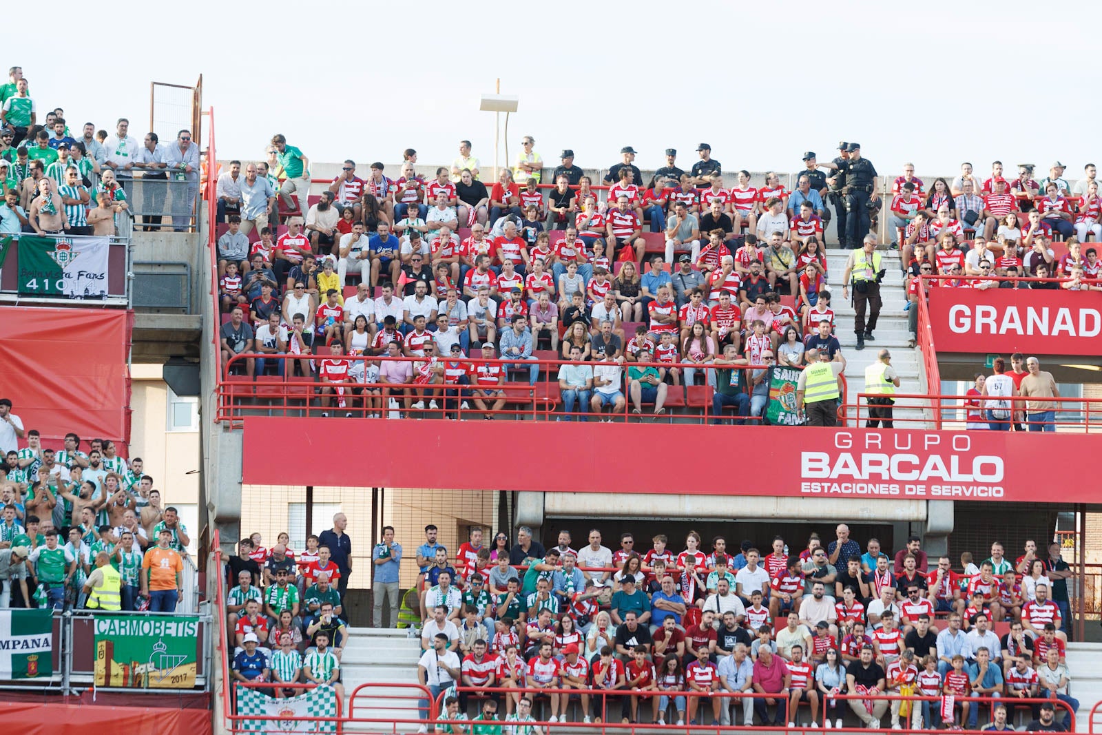 Búscate en la grada de Los Cármenes durante el Granada-Betis