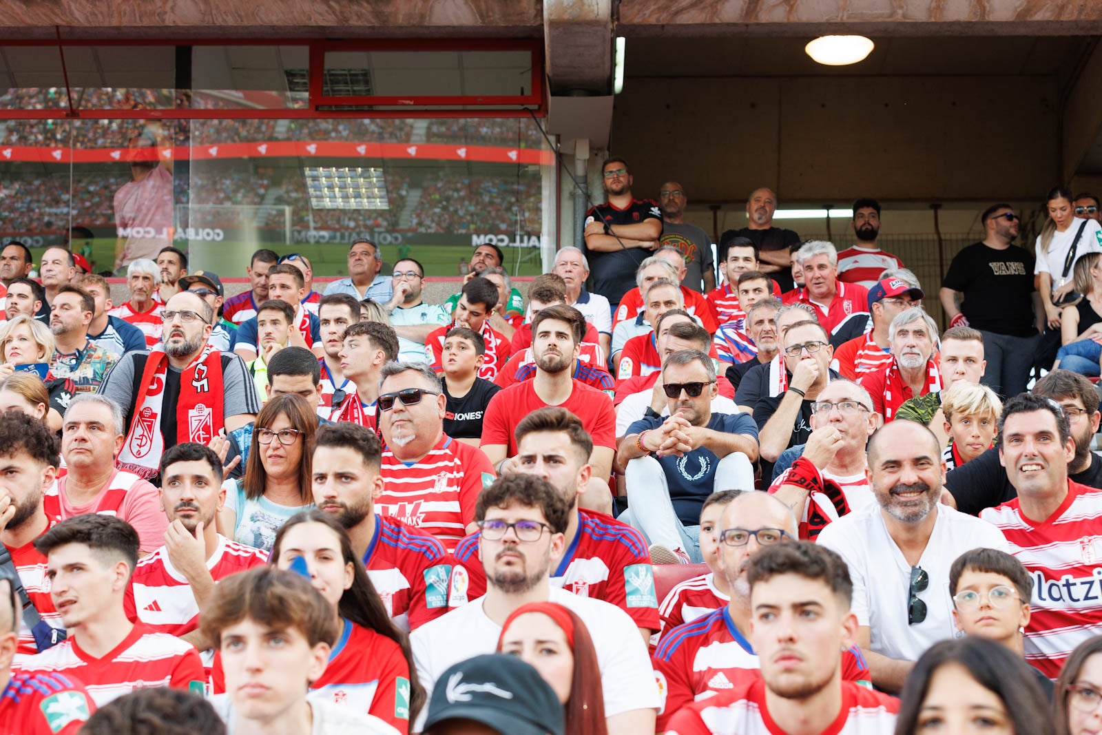 Búscate en la grada de Los Cármenes durante el Granada-Betis