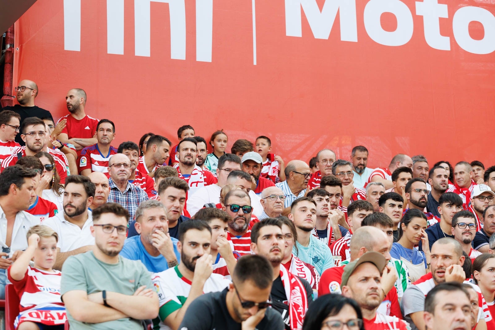 Búscate en la grada de Los Cármenes durante el Granada-Betis