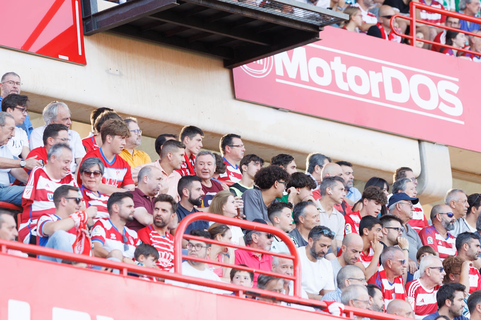 Búscate en la grada de Los Cármenes durante el Granada-Betis