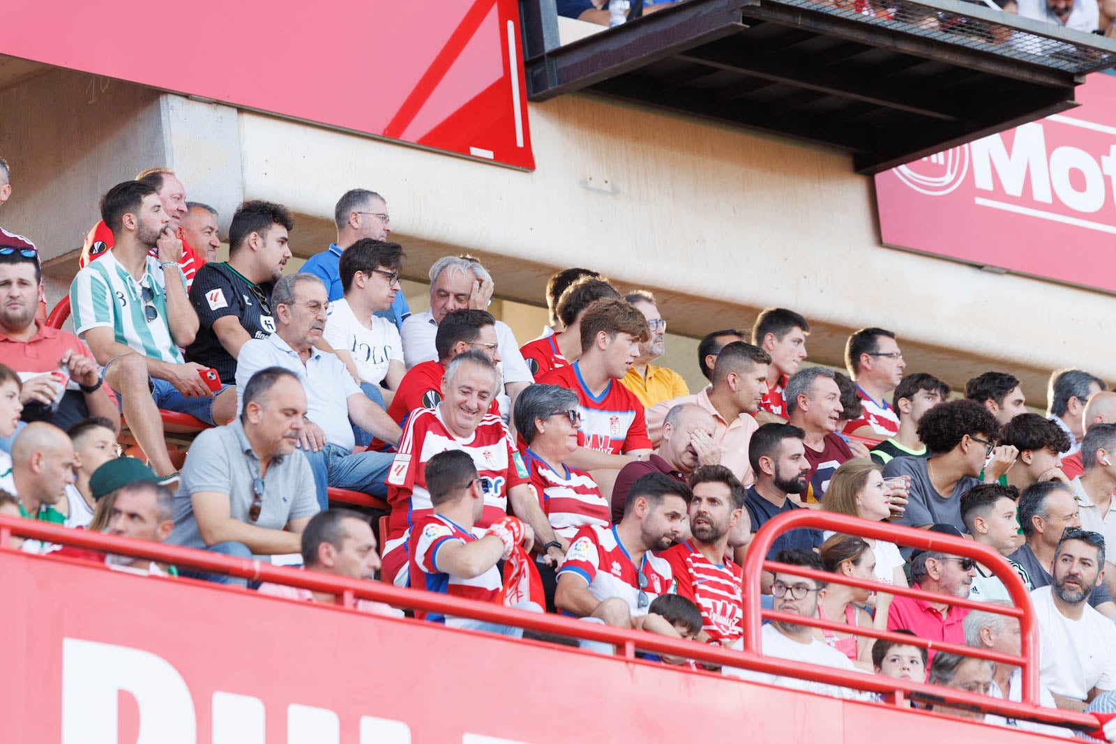 Búscate en la grada de Los Cármenes durante el Granada-Betis