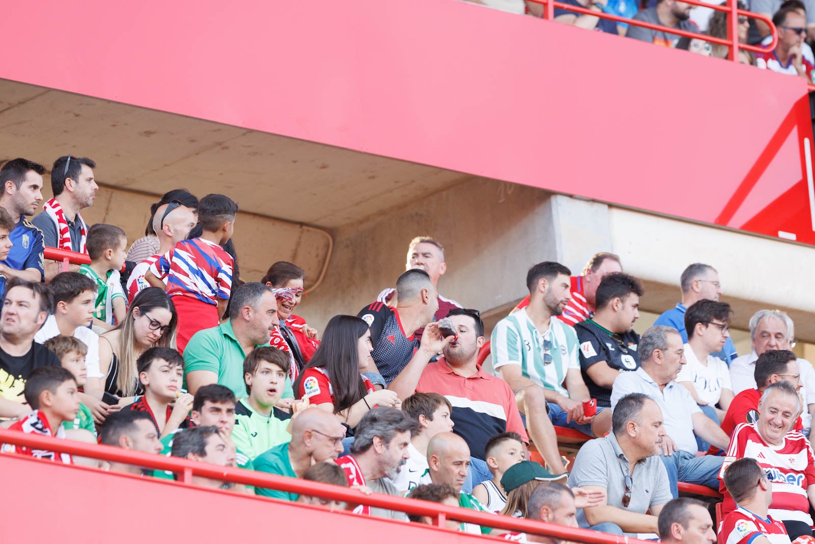 Búscate en la grada de Los Cármenes durante el Granada-Betis