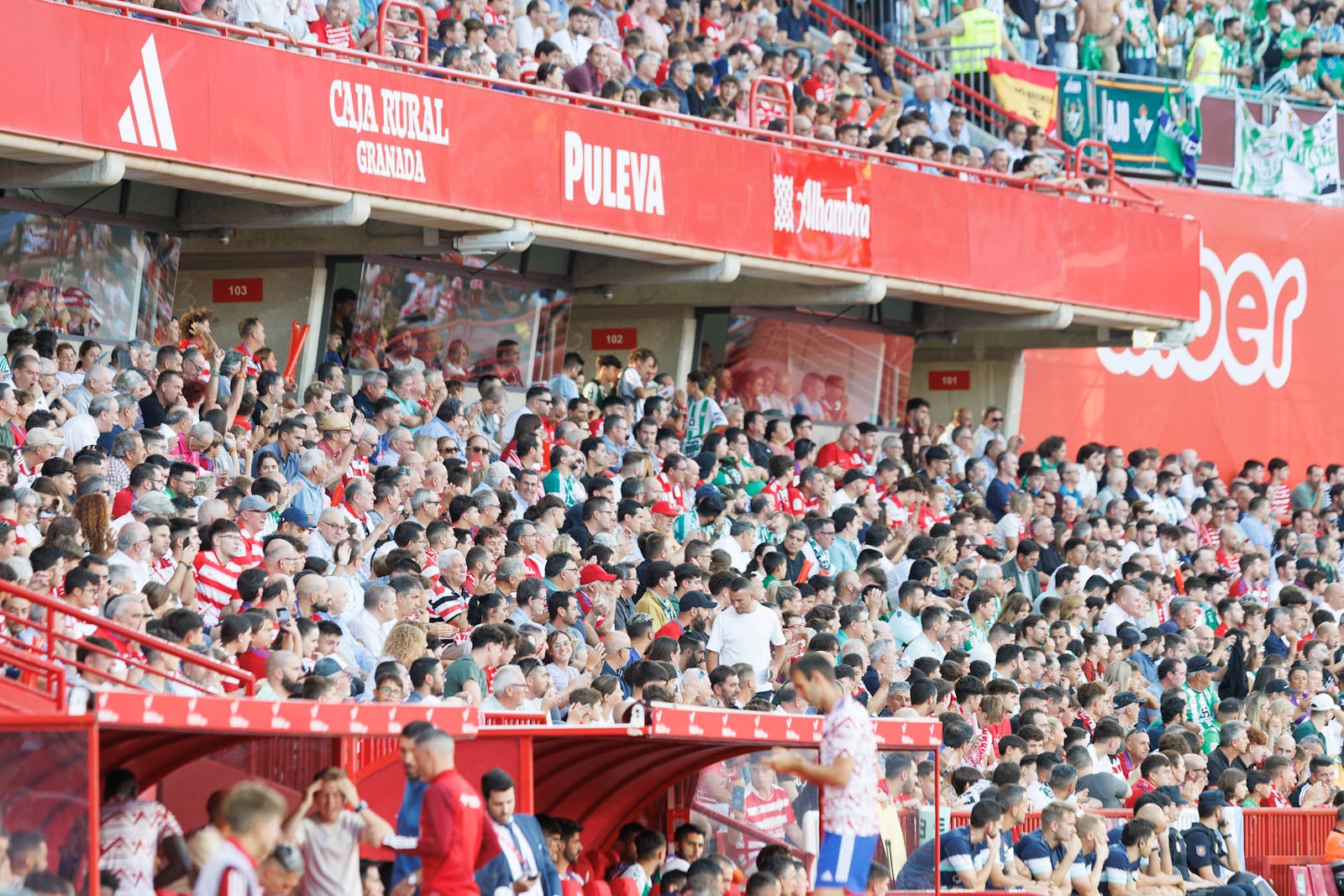 Búscate en la grada de Los Cármenes durante el Granada-Betis