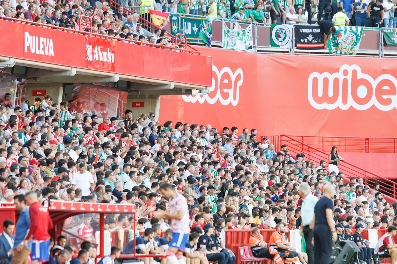 Búscate en la grada de Los Cármenes durante el Granada-Betis