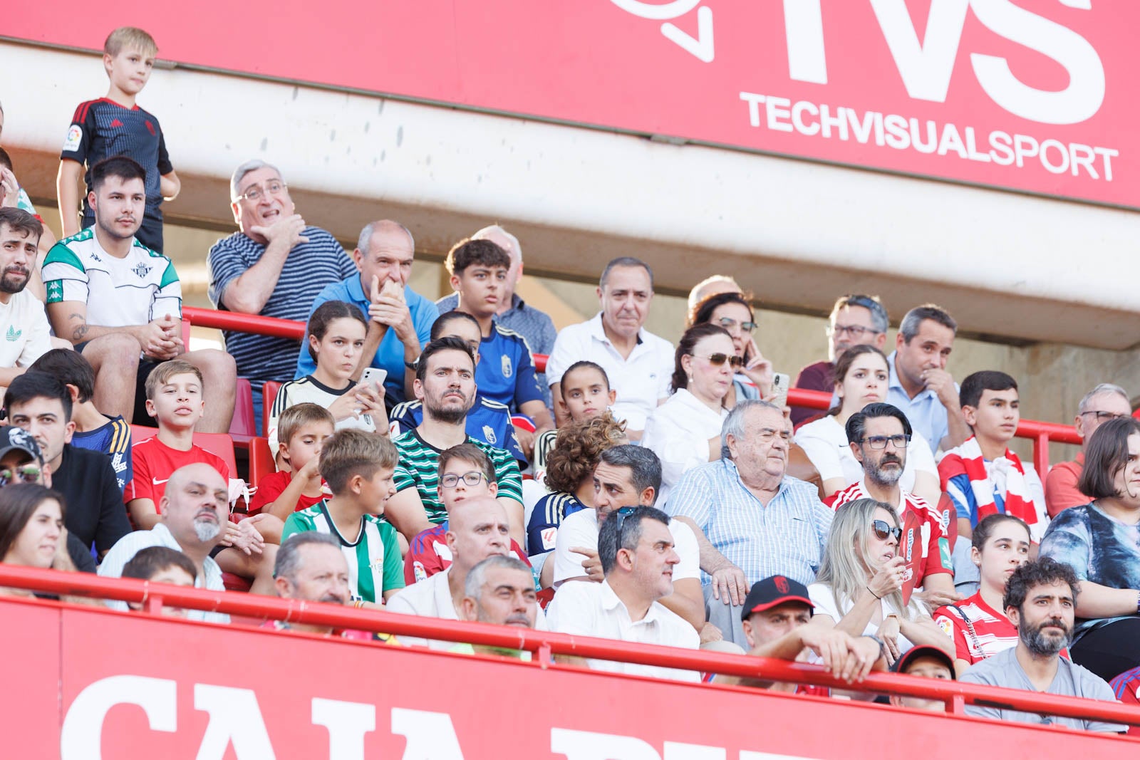 Búscate en la grada de Los Cármenes durante el Granada-Betis
