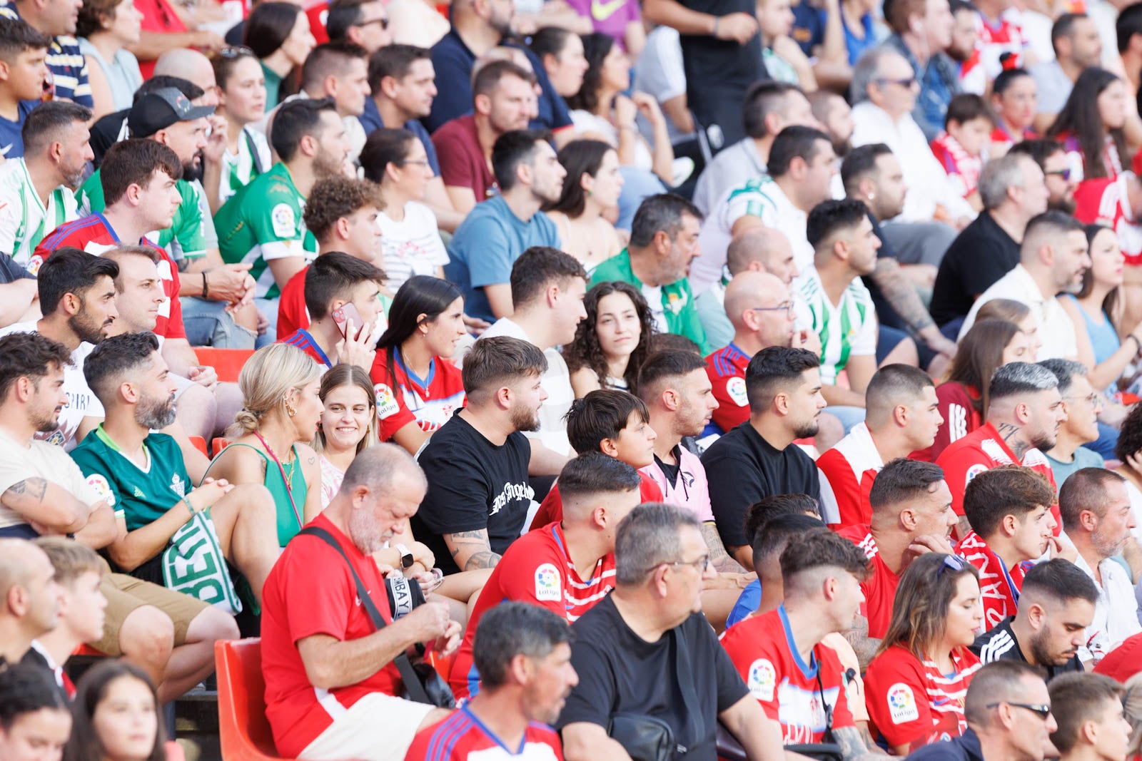 Búscate en la grada de Los Cármenes durante el Granada-Betis