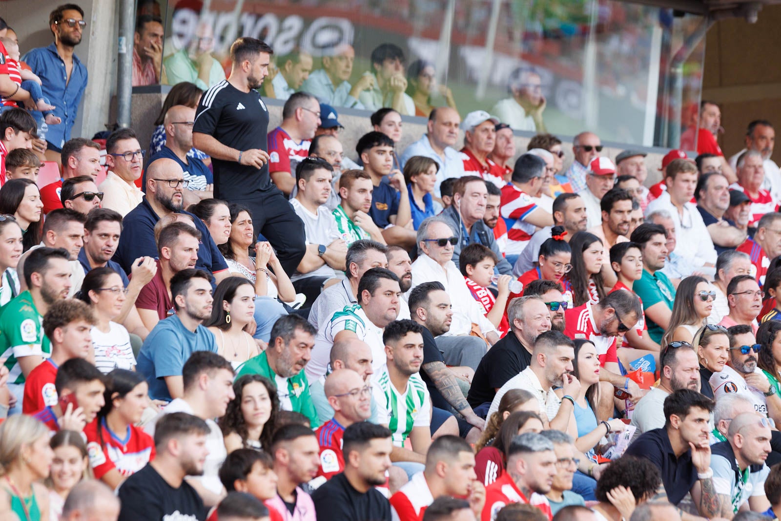 Búscate en la grada de Los Cármenes durante el Granada-Betis
