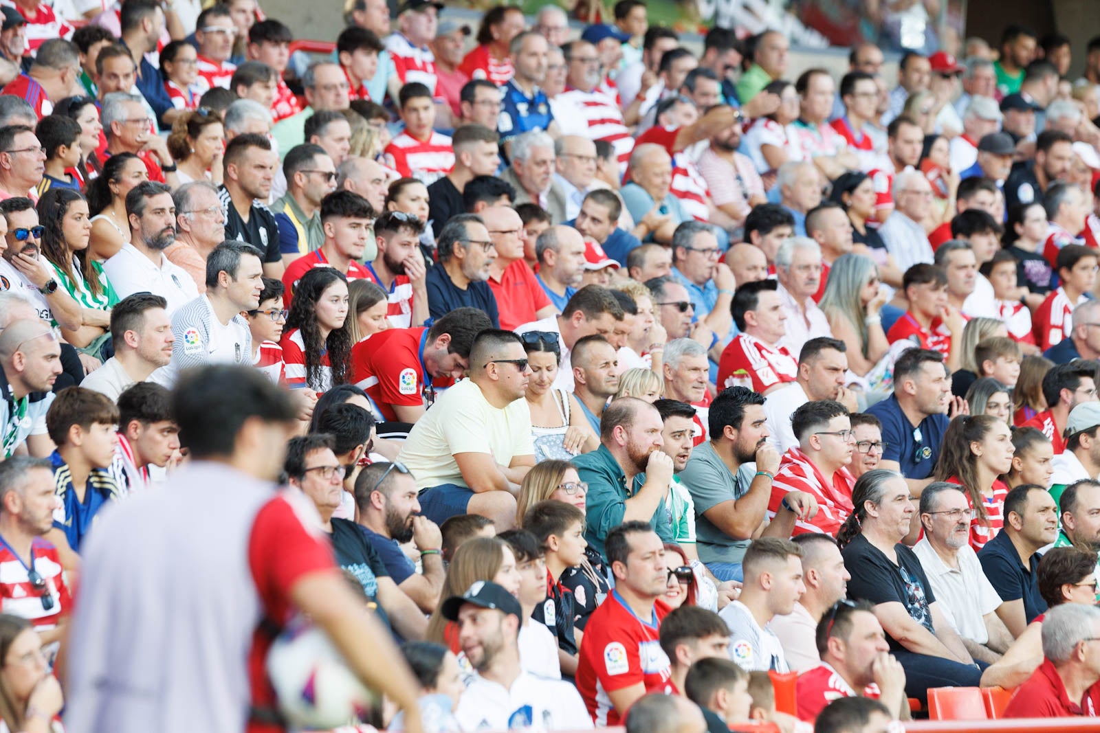 Búscate en la grada de Los Cármenes durante el Granada-Betis