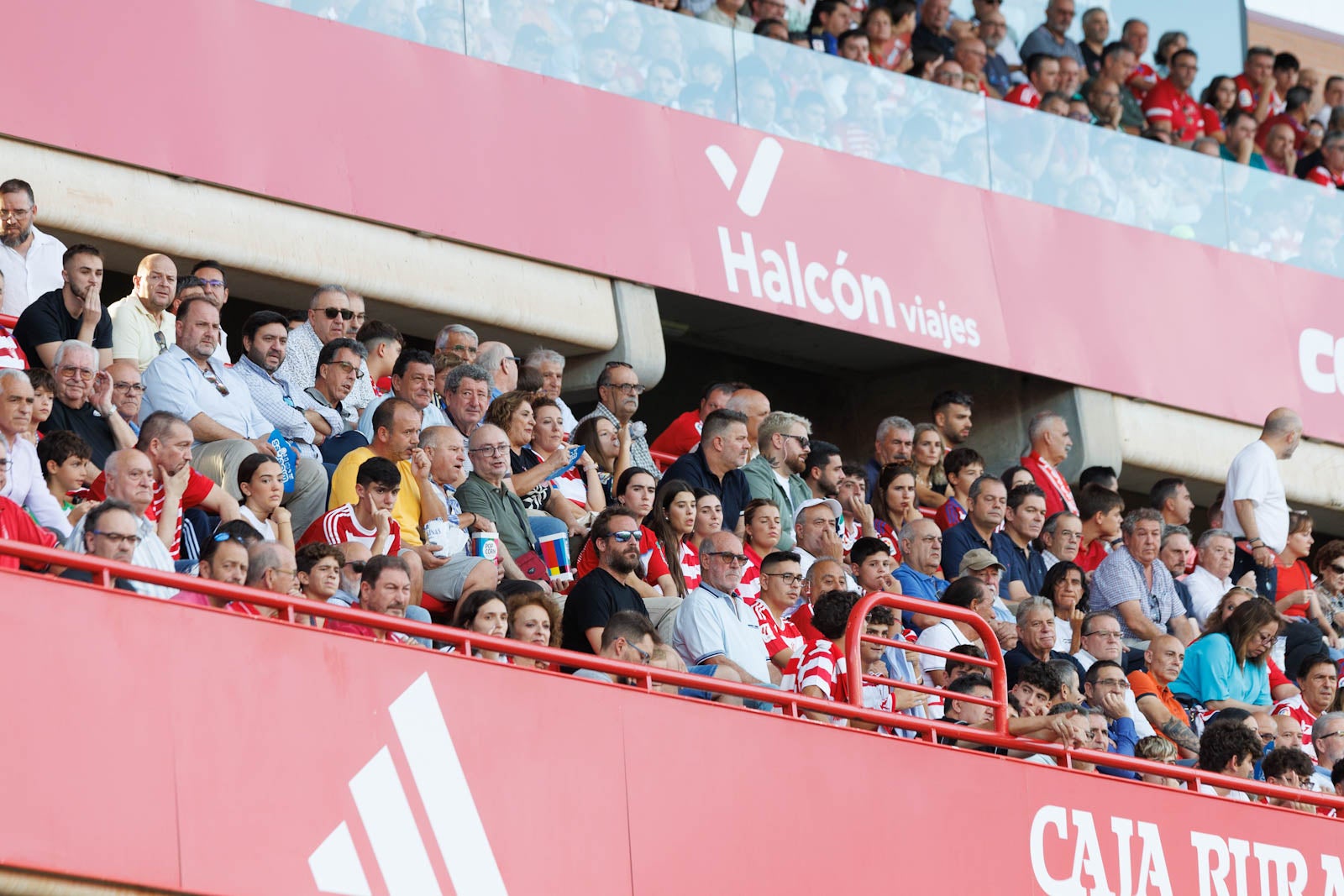 Búscate en la grada de Los Cármenes durante el Granada-Betis