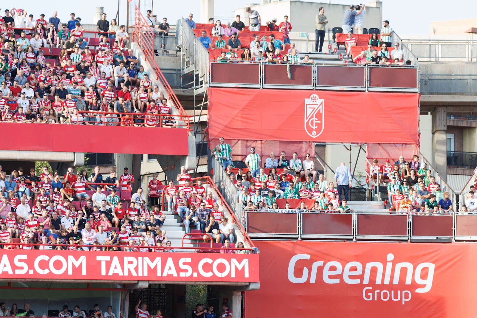 Búscate en la grada de Los Cármenes durante el Granada-Betis