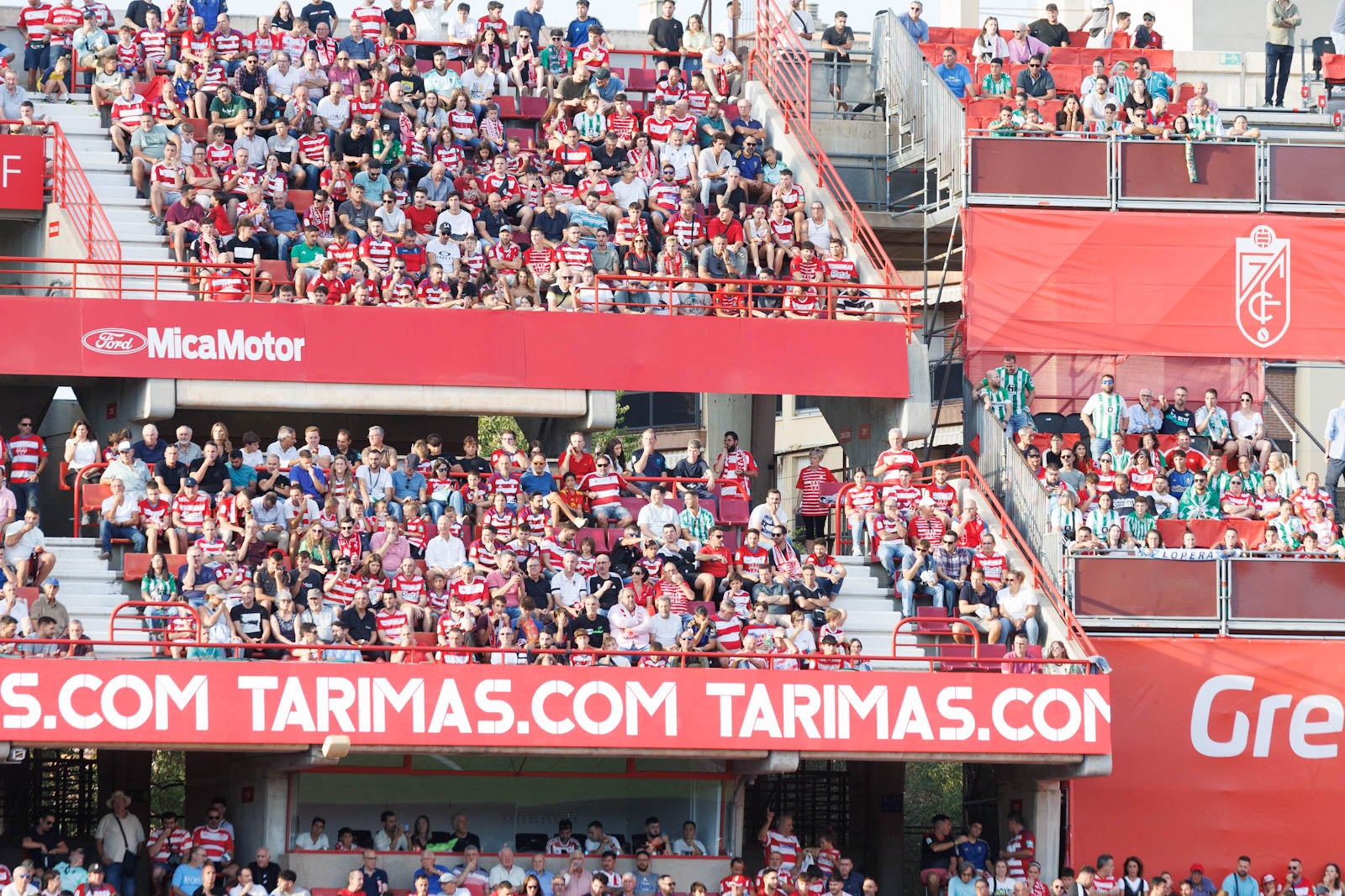 Búscate en la grada de Los Cármenes durante el Granada-Betis