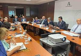 Reunión del Consejo Andaluz de Universidades.