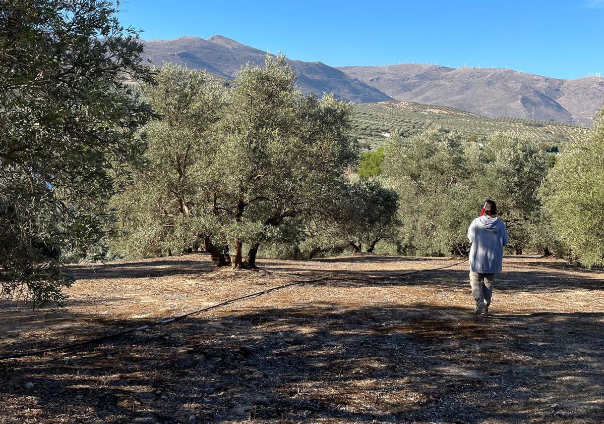 Trabajos arqueológicos en la villa romana de Salar.