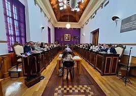 Los concejales durante la sesión de investidura.