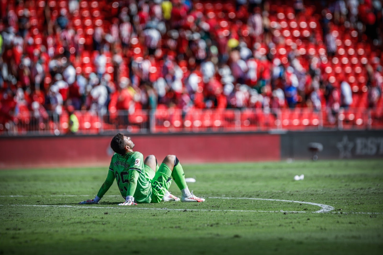 Las mejores imágenes del Almería - Granada