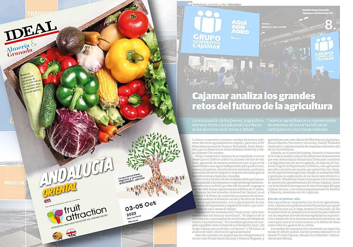 Detalle de la portada del suplemento especial con el fondo de varias páginas interiores.