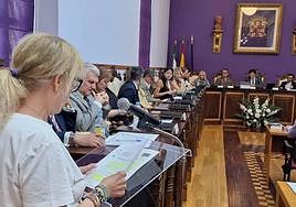 Gloria García, del colectivo Carmen Olmedo, durante la lectura de la moción.