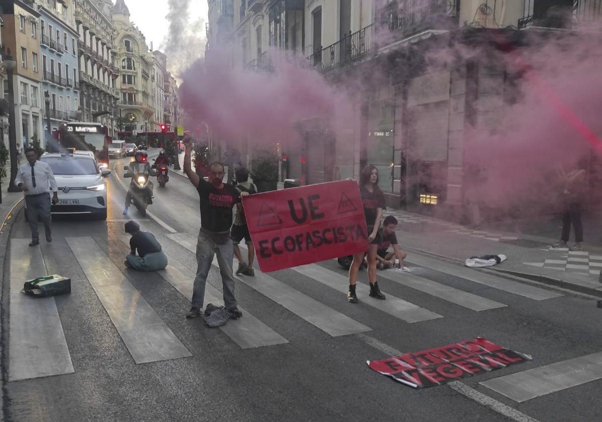 Activistas ecologistas cortan Reyes Católicos en protesta pro la cumbre