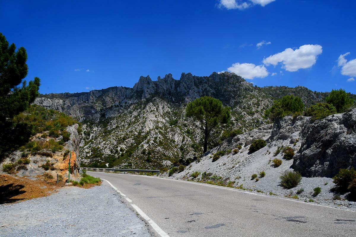 Imagen de la carretera de la Cabra, donde ha ocurrido el accidente mortal.