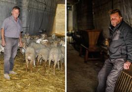 Antonio Galera desolado hace un año (derecha) tras el sacrificio de sus animales por la viruela ovina y este viernes, tras recibir a las primeras ovejas con las que intentará repoblar su explotación.