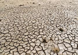 El Papa y sus preocupaciones sobre el cambio climático