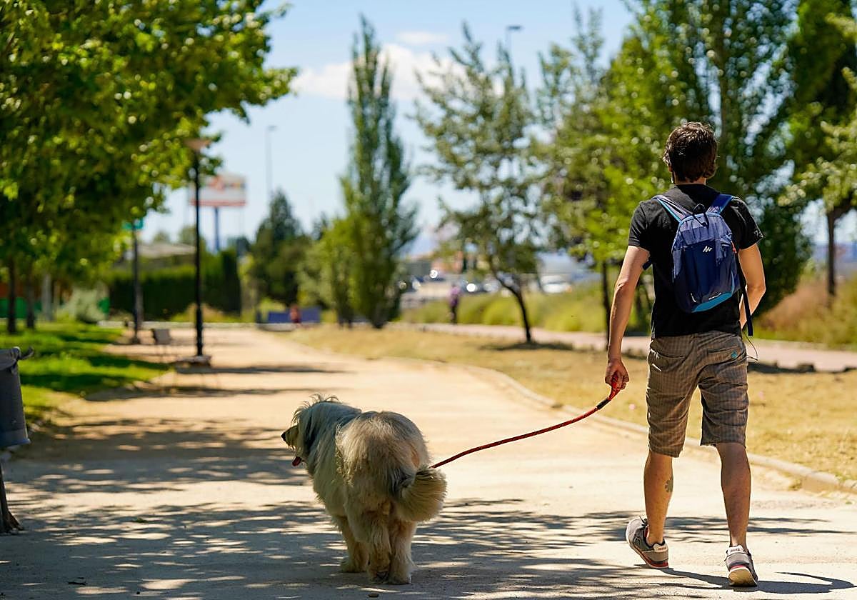 La ayuda para el veterinario gratis con la nueva Ley de Bienestar Animal.