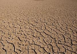 Cambio climático: oportunidades de negocio para las empresas de Almería