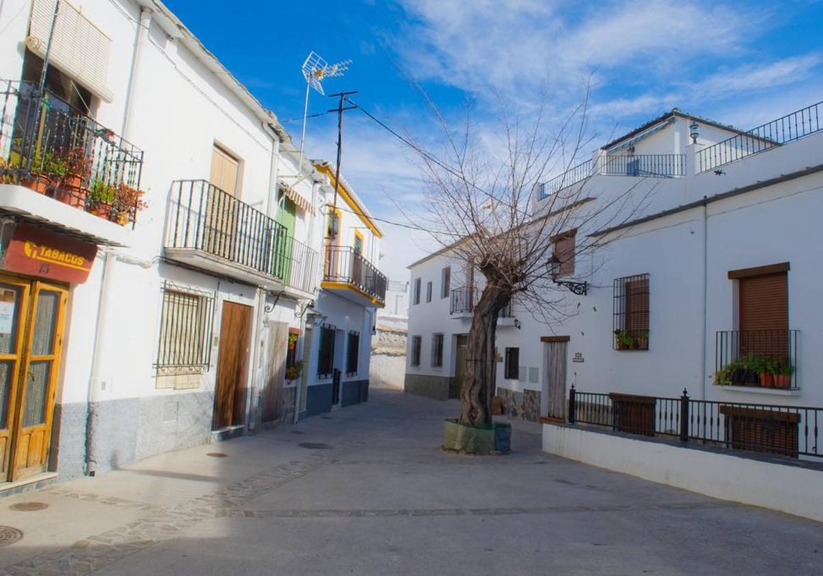 Imagen de archivo de Almegíjar.