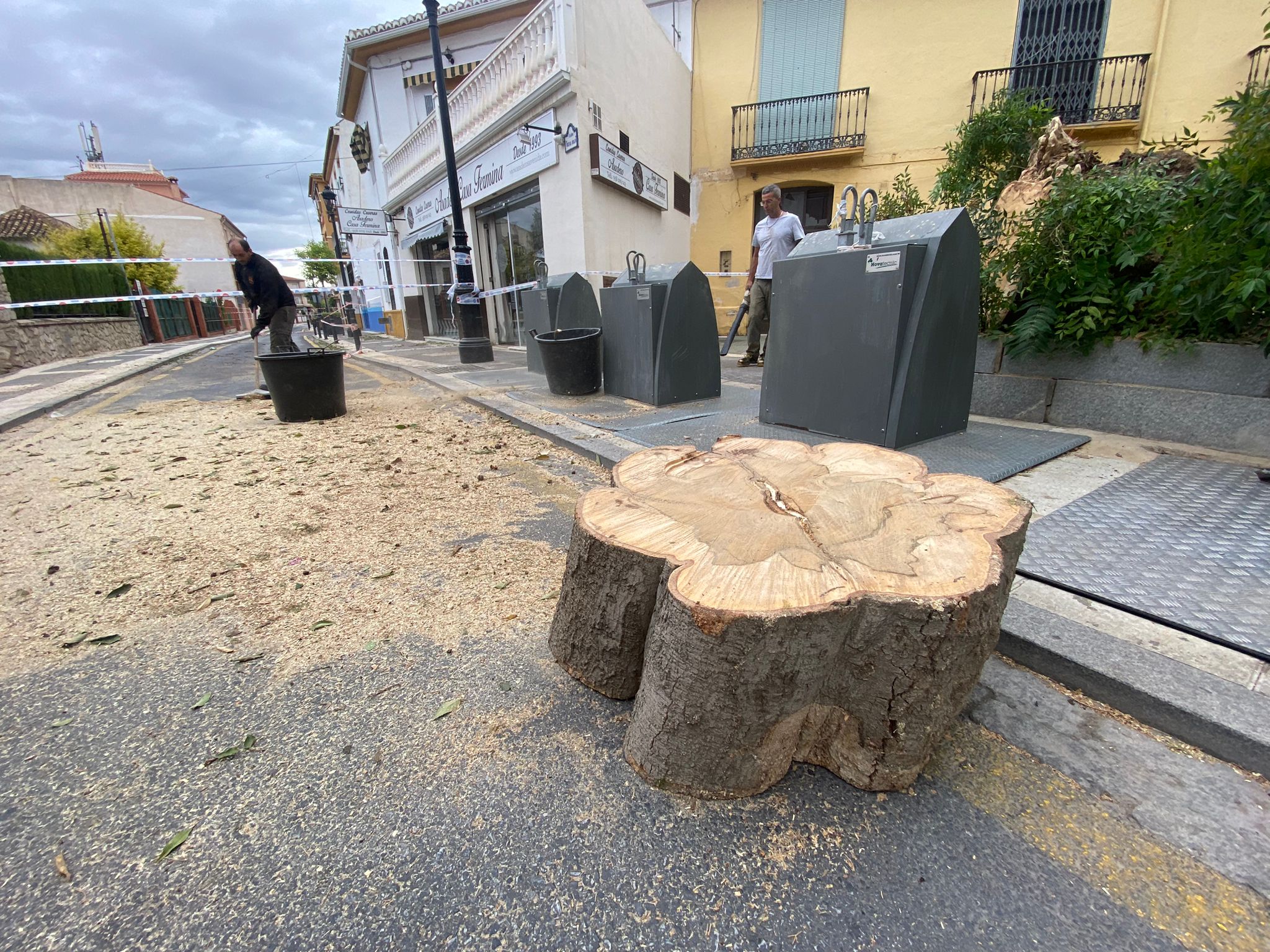 Imagen secundaria 2 - Árboles caídos en el callejón del Pretorio y en Ogíjares