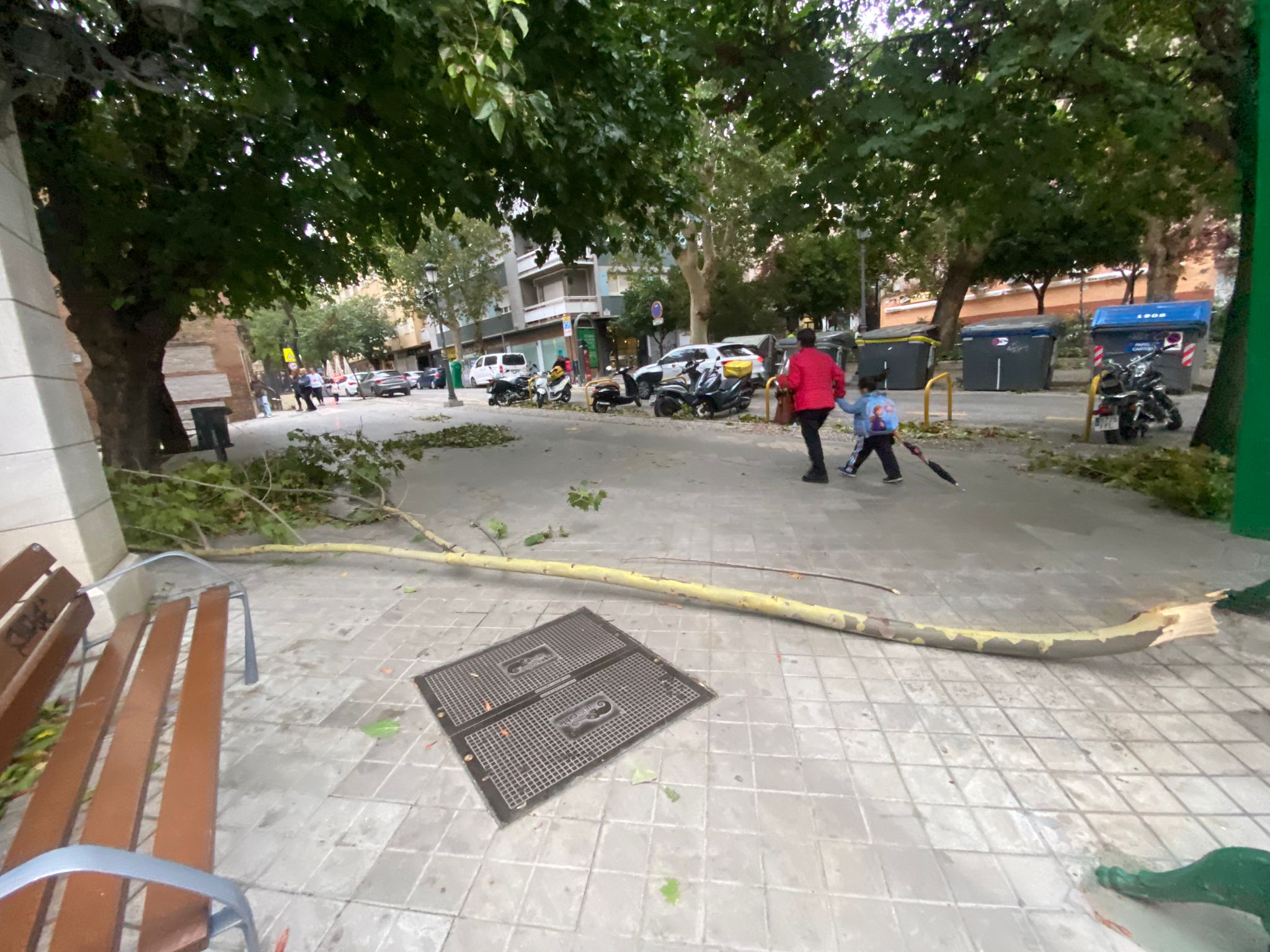 Los daños causados por la borrasca Bernard en Granada, en imágenes