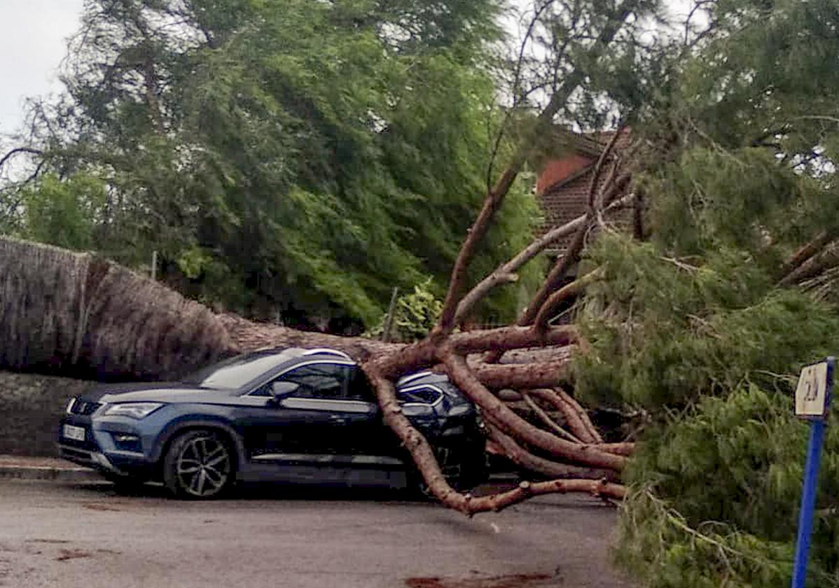 Árbol caído sobre un coche en Dos Hermanas, Sevilla